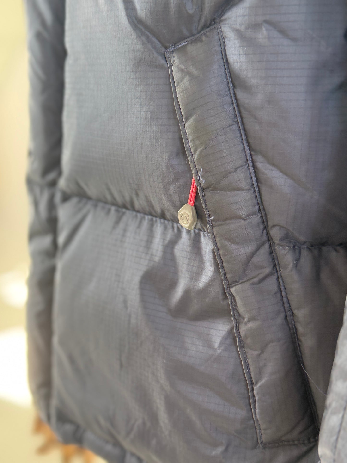 The North Face 700 fill summit series windstopper puffer jacket (S)