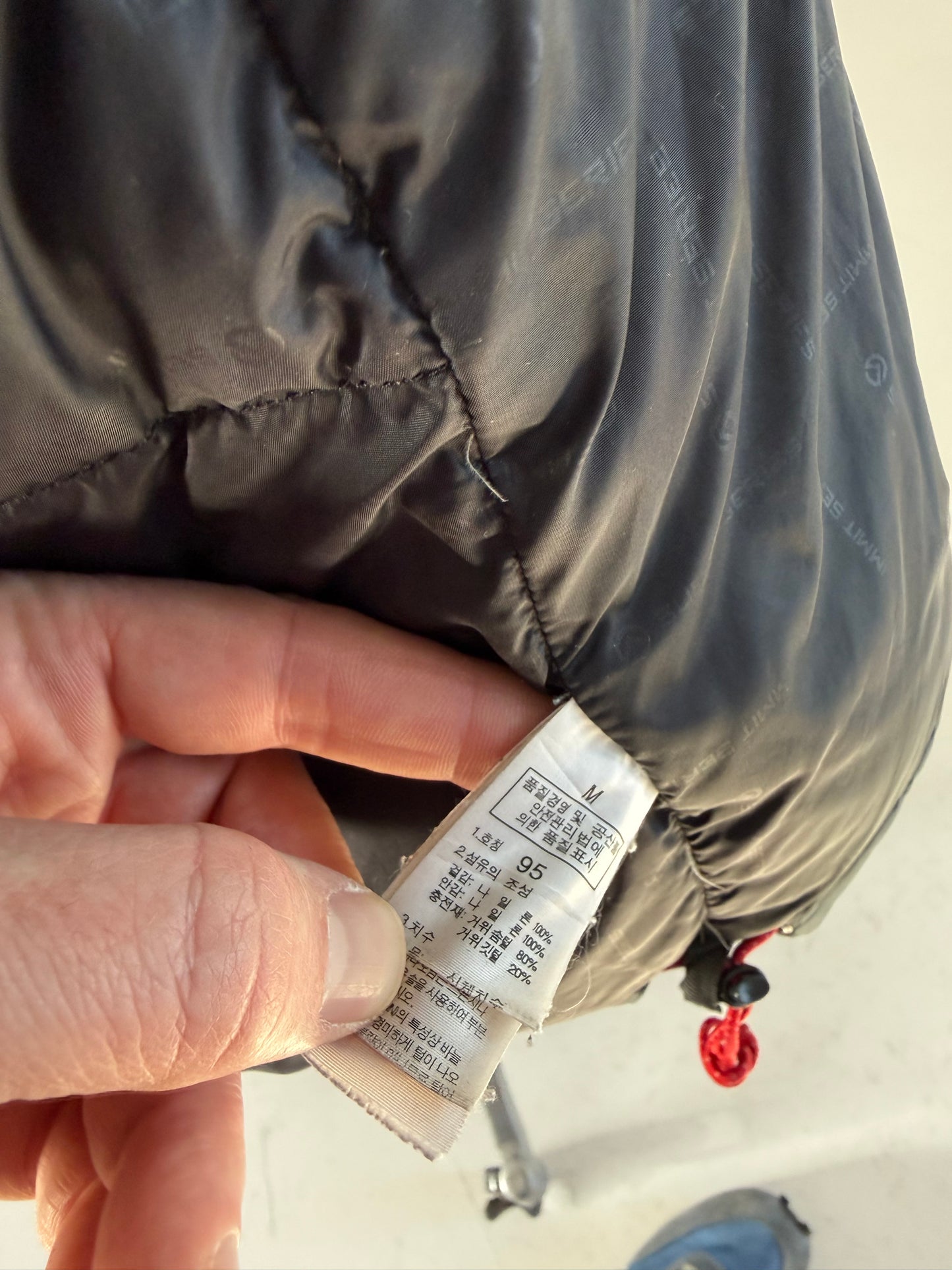 The North Face Summit Series windstopper 700 Goose down puffer jacket (M) 1