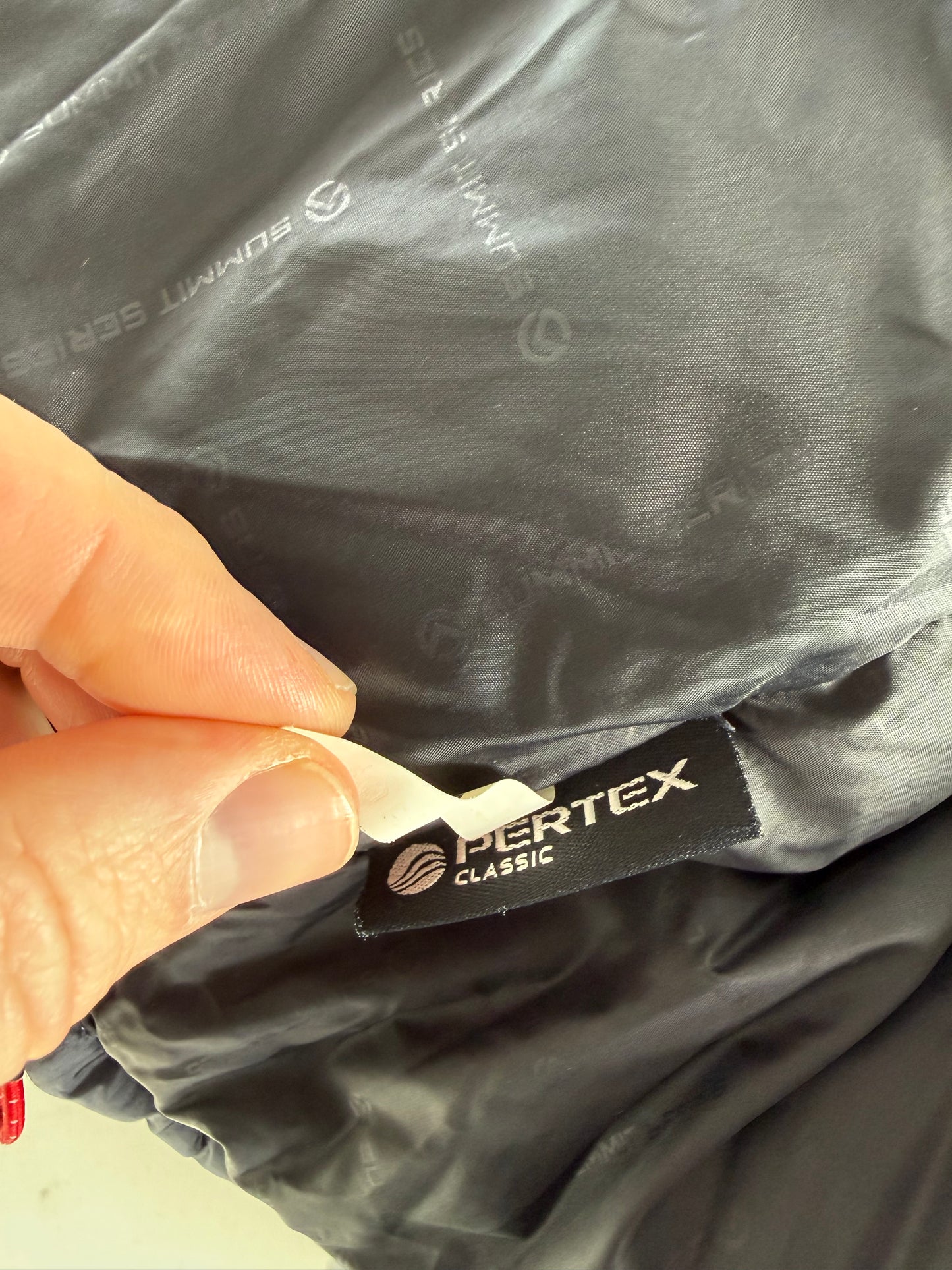 The North Face 700 fill summit series windstopper puffer jacket (S)