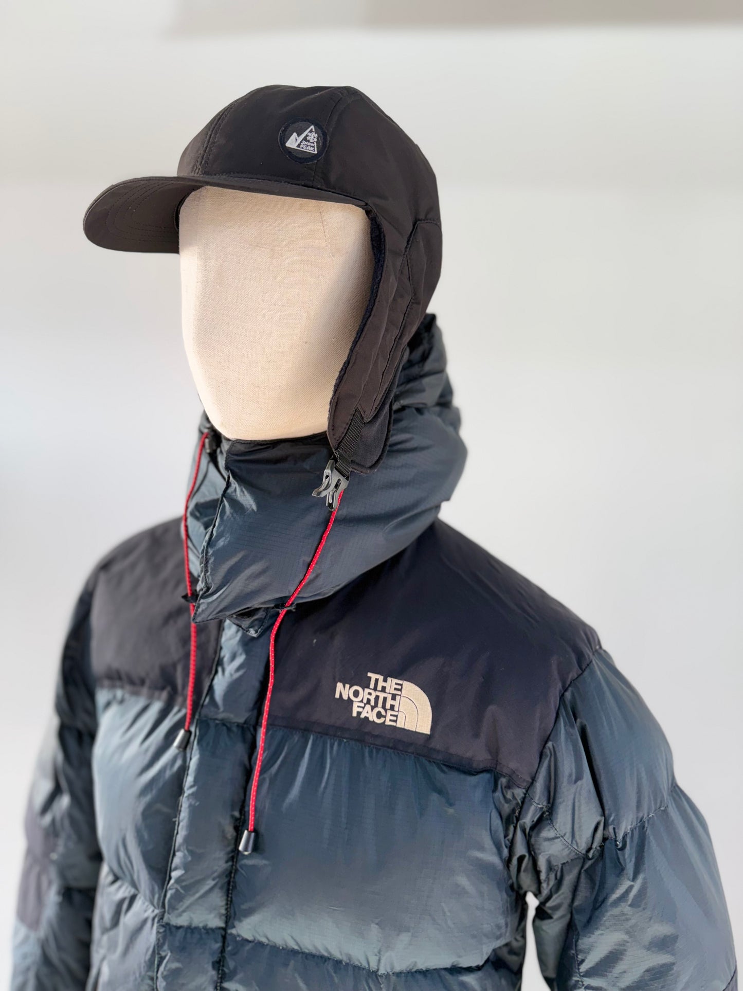 The North Face Summit Series windstopper 700 Goose down puffer jacket (M) 1